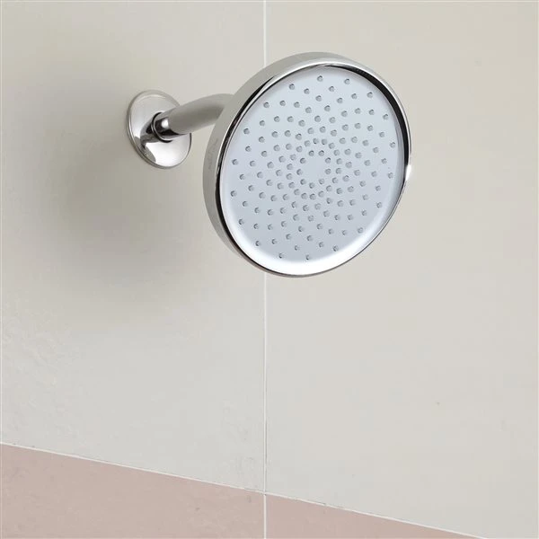 Boyelliving Chrome 1-spray Shower Head 1.75 GPM (6.6 LPM) - Image 3